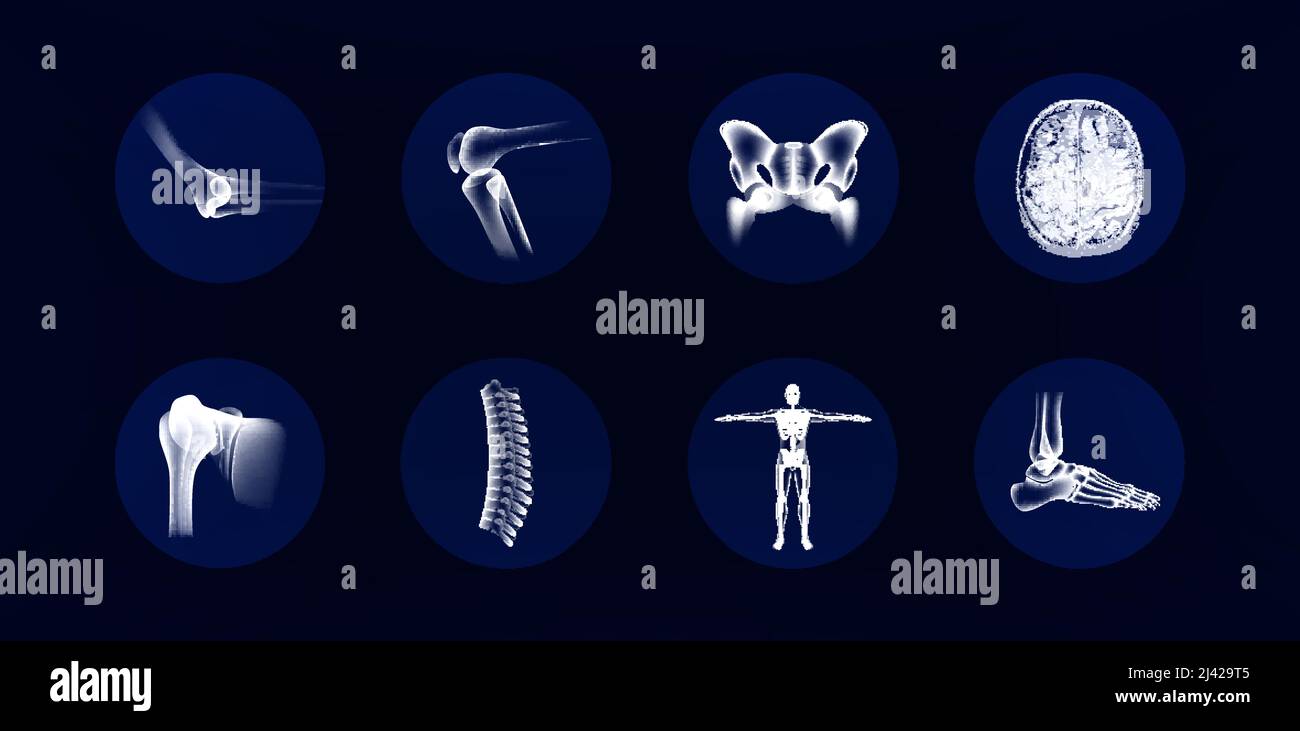 Set di anatomia ossea. Raccolta di immagini di articolazioni e ossa umane Illustrazione Vettoriale