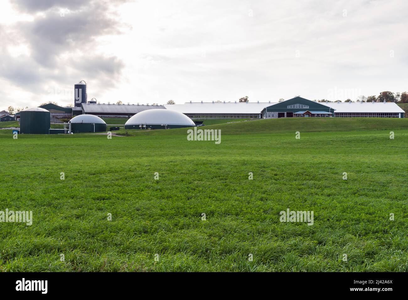 Grandi serbatoi per la produzione di biogas di fronte ad un grande fienile in una fattoria moden in un giorno nuvoloso autunno. Concetto di energia di biomassa. Foto Stock