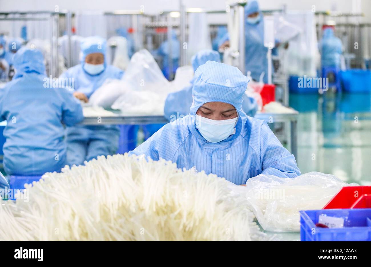 HUAI'AN, CINA - 11 APRILE 2022 - i lavoratori trattano i dispositivi di infusione medica in un workshop a Huai 'an, provincia di Jiangsu, Cina, 11 aprile 2022. Foto Stock