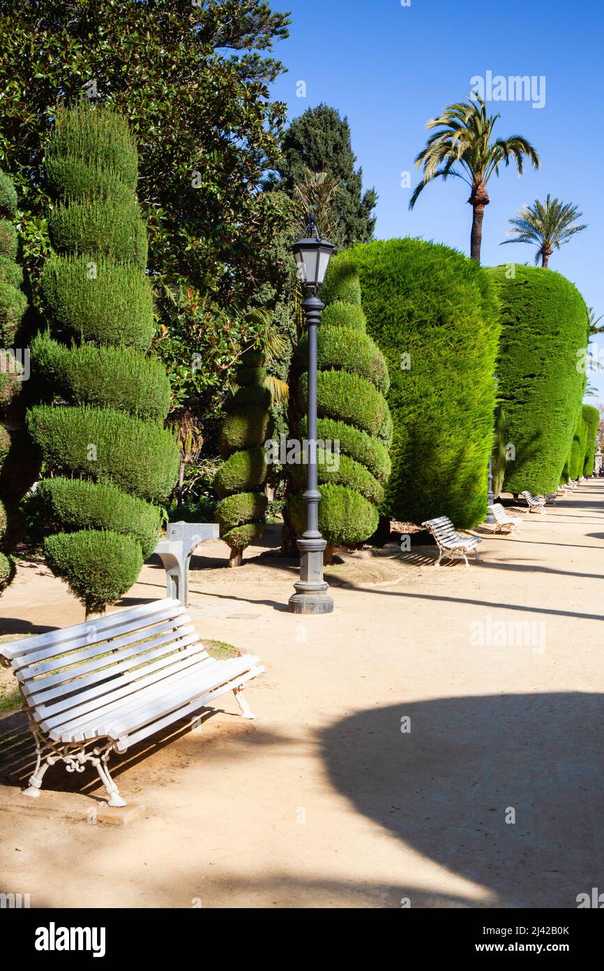 Nel parco vuoto di Genoves, Giardini Botanici di Cadice, Andalusia, Spagna. Cadiz è un'antica città portuale nella regione andalusa della Spagna sudoccidentale. Foto Stock