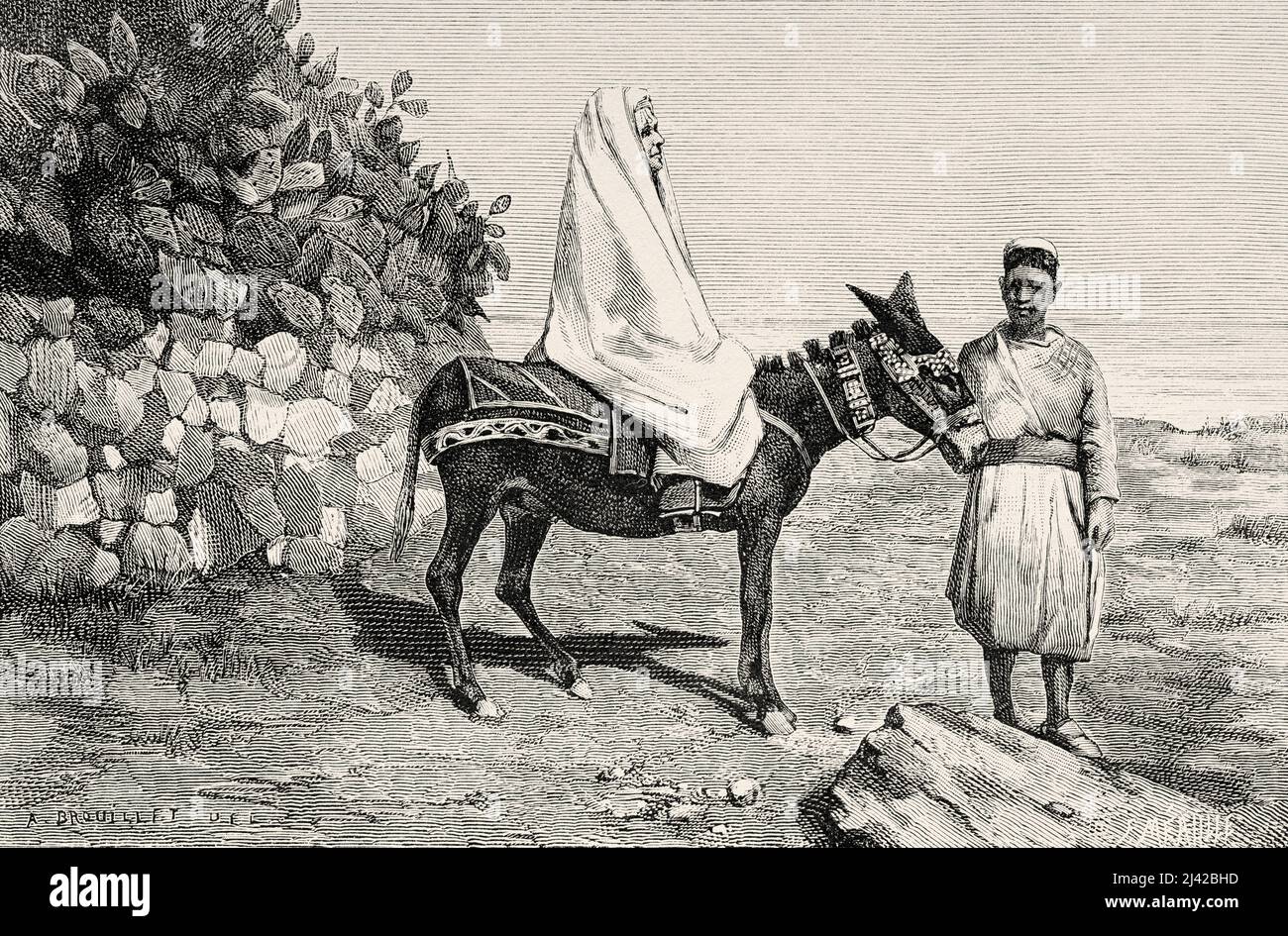 Donna che guida un asino, Tiberias. Israele, Medio Oriente, Oriente. Siria di Charles Louis Lortet (1836-1909) le Tour du Monde 1882 Foto Stock