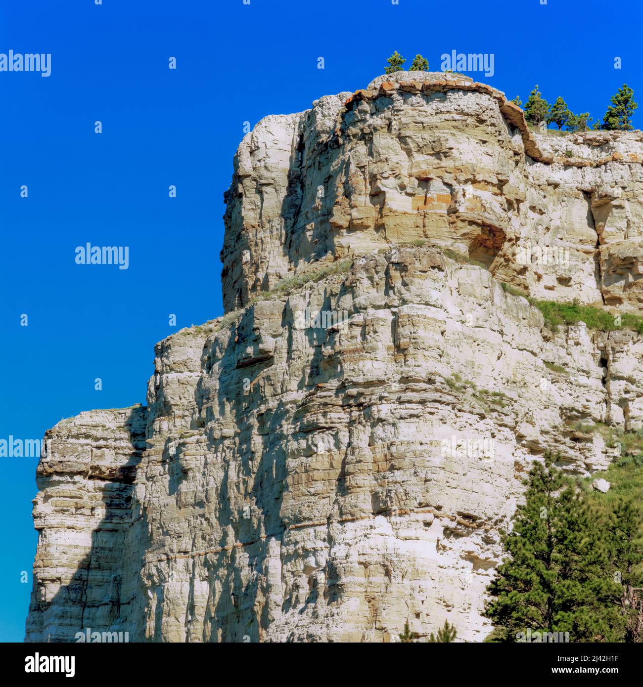 chalk buttes nella foresta nazionale custer vicino ekalaka, mt Foto Stock