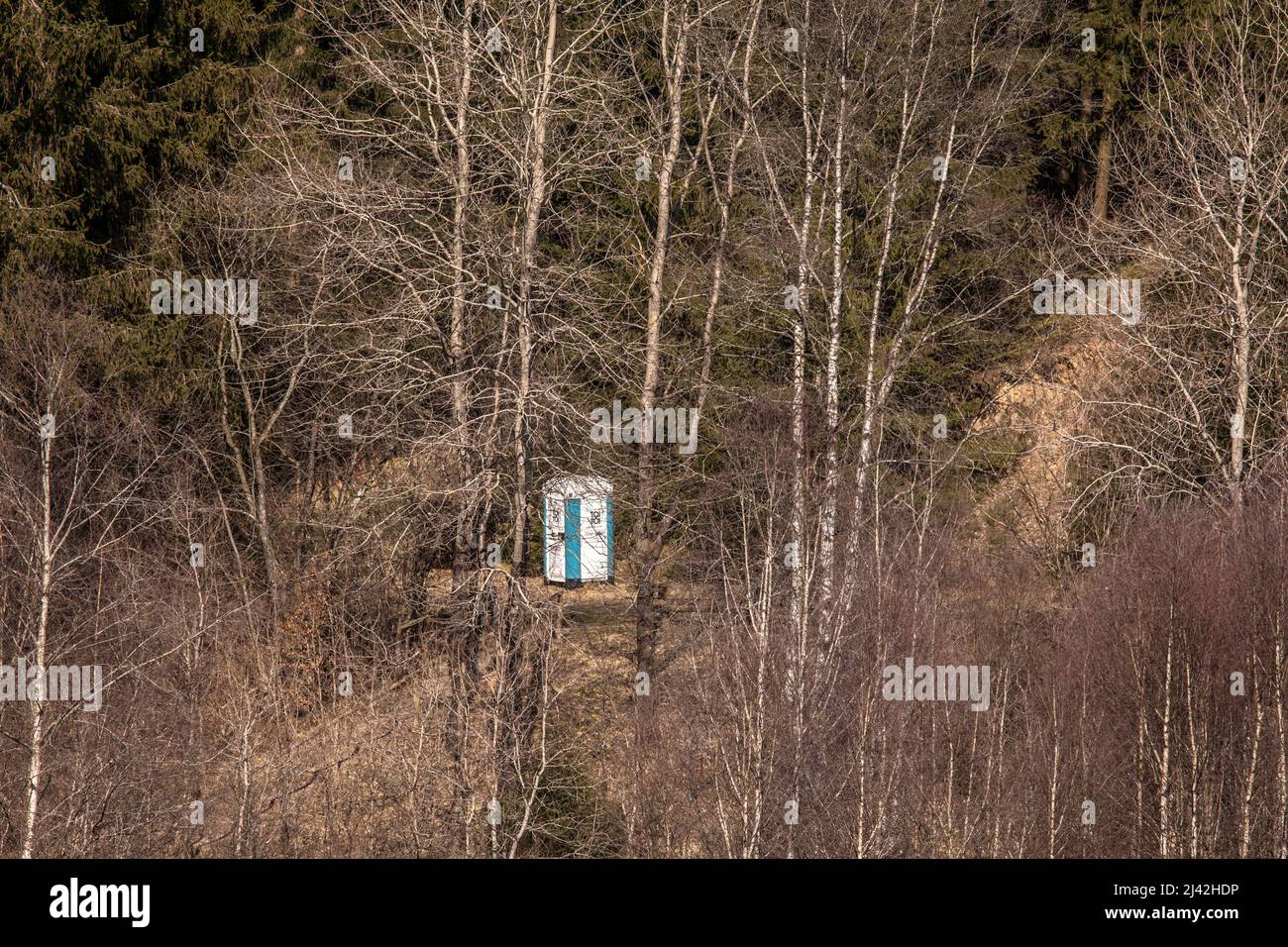 Un gabinetto mobile si trova in una foresta vicino Hellenthal-Hollerath nella regione di Eifel, Renania settentrionale-Vestfalia, Germania. Eine mobile Toilette steht in eine Foto Stock