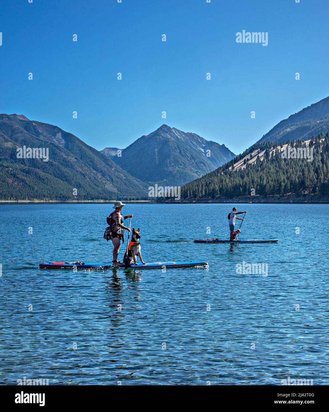 Paddleboard con cani, Wallowa Lake, Oregon Foto Stock