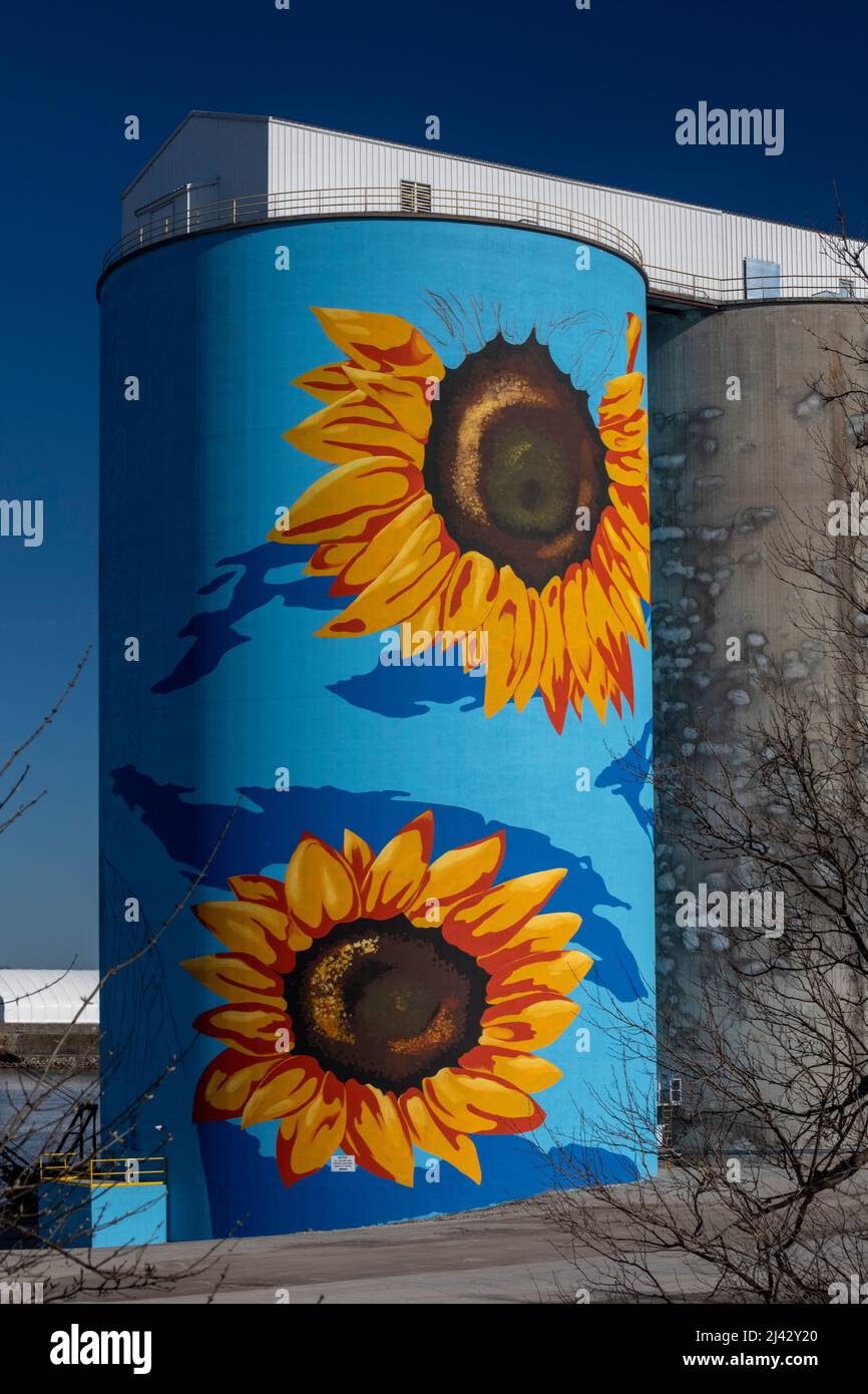 Toledo, Ohio - la parete del fiume della città di vetro, un murale di girasole da Gabe Gault, dipinto sui silos di grano di ADM sul fiume Maumee. Foto Stock