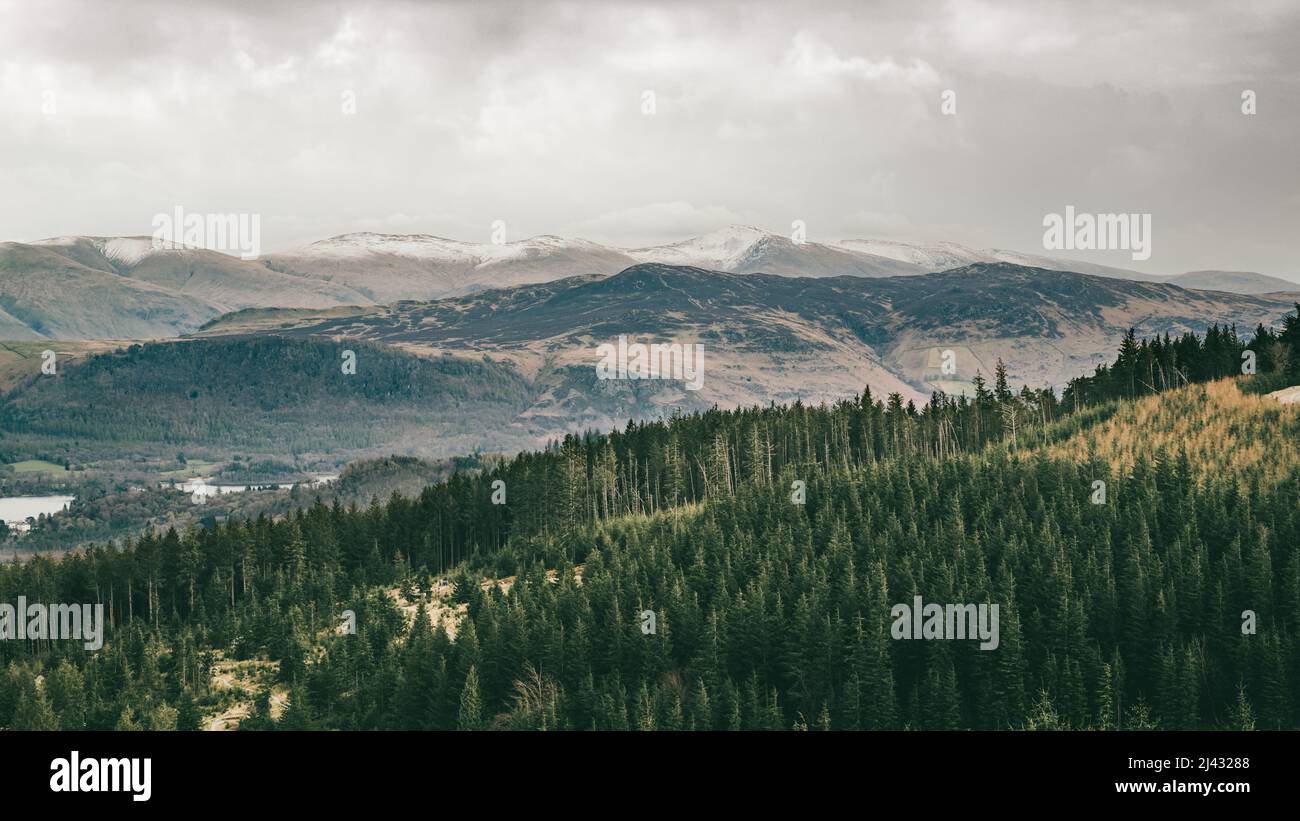 La vista dal sentiero Seat How nella Whinlest Forest nel Lake District Foto Stock
