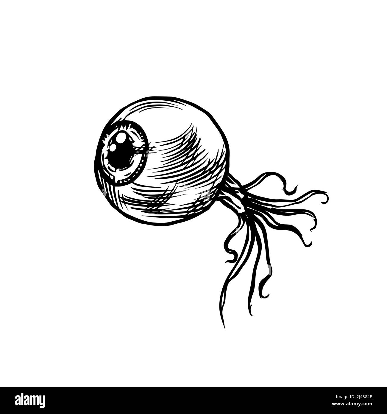 Cornea o muscoli dell'occhio umano. Disegno di incisione vintage. Profilo di Doodle. Disegno a mano. Illustrazione Vettoriale