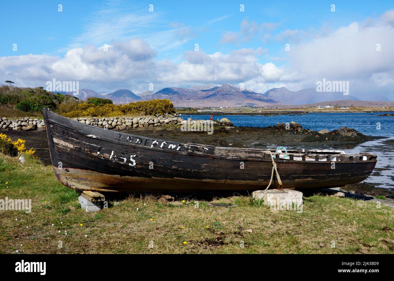 Barca in Roundstone villaggio di pescatori e il Twelve Bens sullo sfondo a Connemara, Co. Galway, Irlanda Foto Stock
