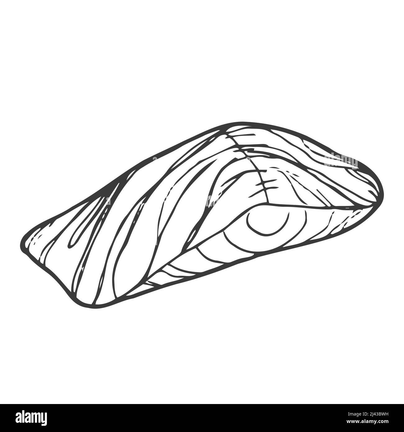 Bistecca di salmone vettore Doodle illustrazione disegnata a mano. Filetto di salmone per sushi Illustrazione Vettoriale