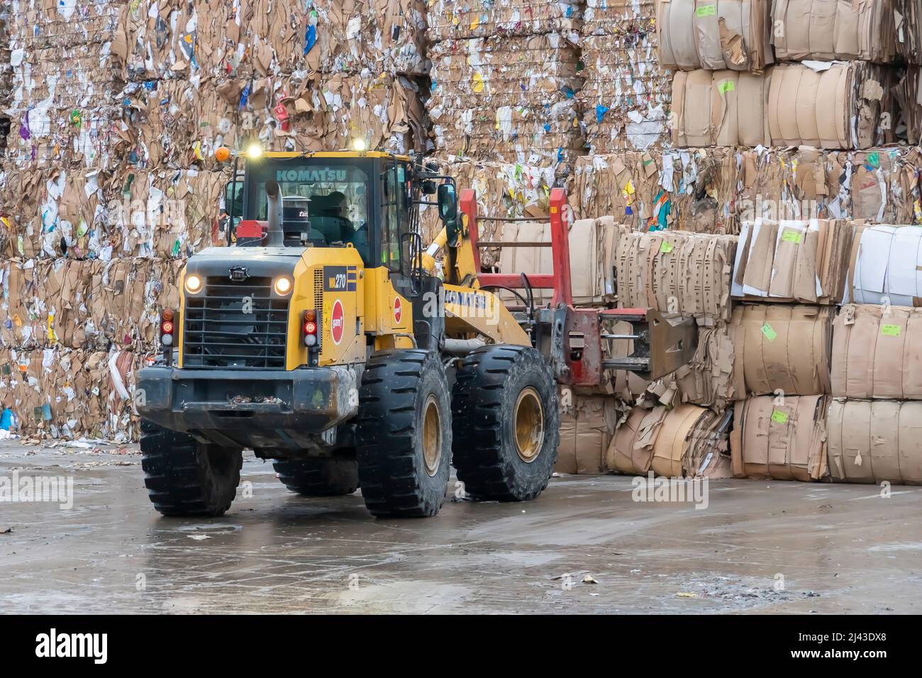 Macchinari pesanti che lavorano con carta riciclata in un impianto di riciclaggio industriale. Foto Stock