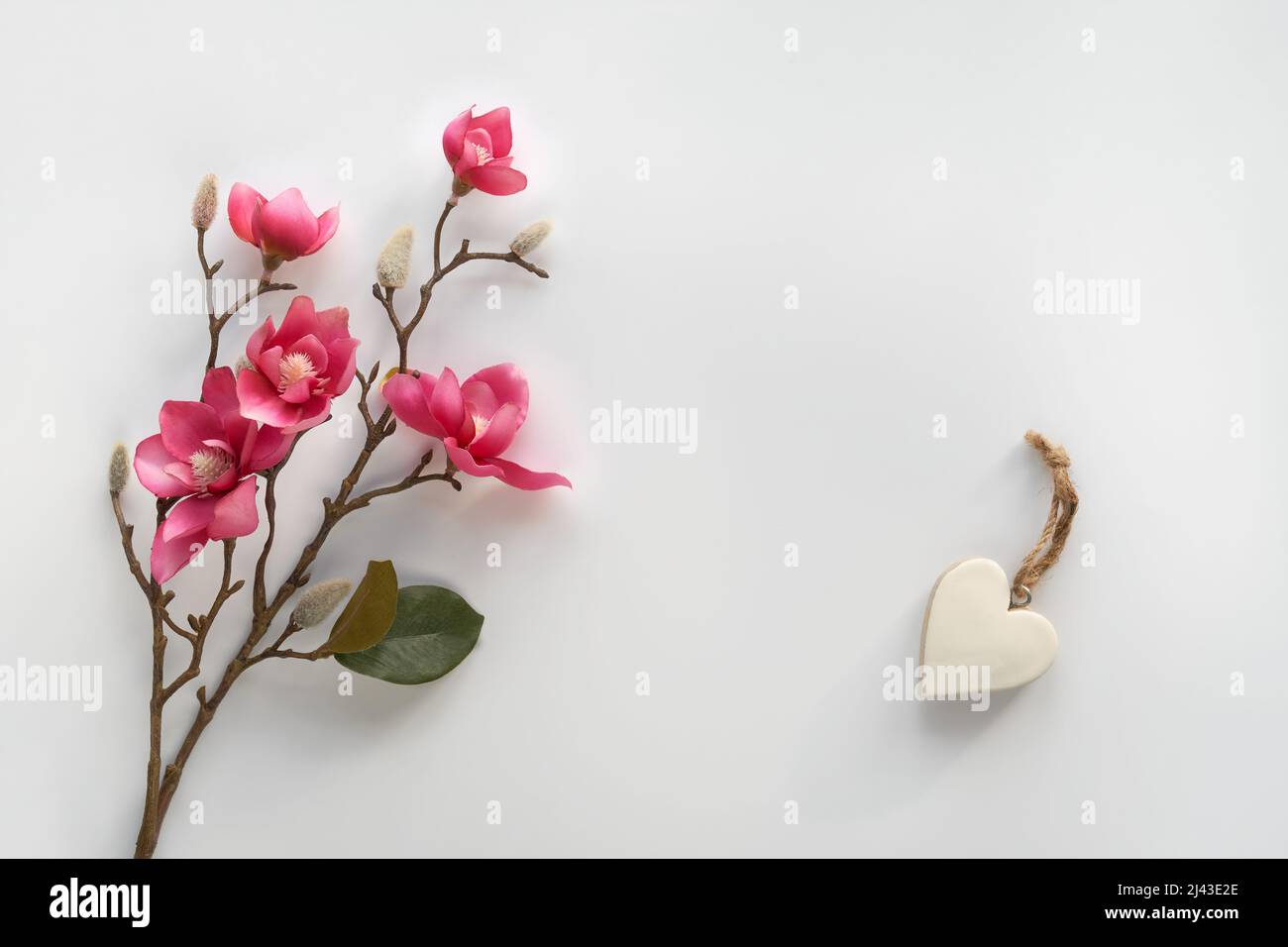 Fiori rosa decorativi magnolia e germogli sul ramoscello. Petto di legno con cordoncino di canapa. Vista dall'alto sul piano portapaziente bianco spento. Sfondo primaverile Foto Stock