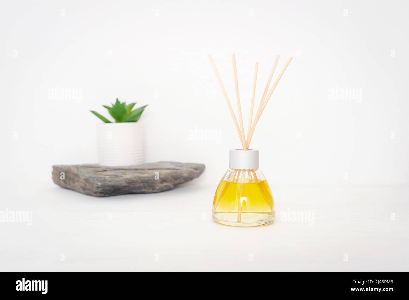 Bottiglia di vetro di diffusore di aroma su sfondo bianco, pianta in vaso su pietra naturale. Interni dal design minimalista. Messa a fuoco selettiva. Foto Stock