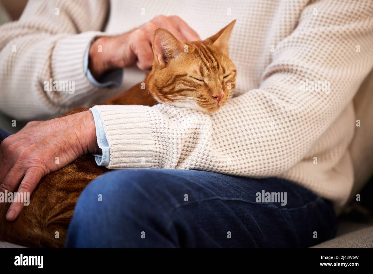 Mi mantiene calmo e rilassato. Colpo di un uomo maturo che struda il suo gatto. Foto Stock