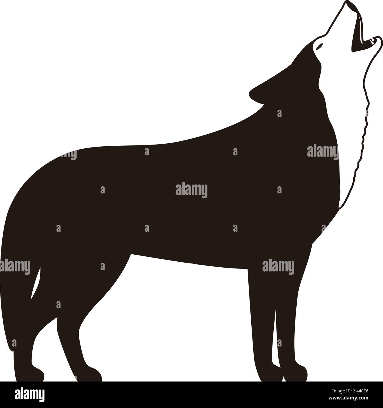 Wolf in piedi e ruggente, sfondo bianco Illustrazione Vettoriale