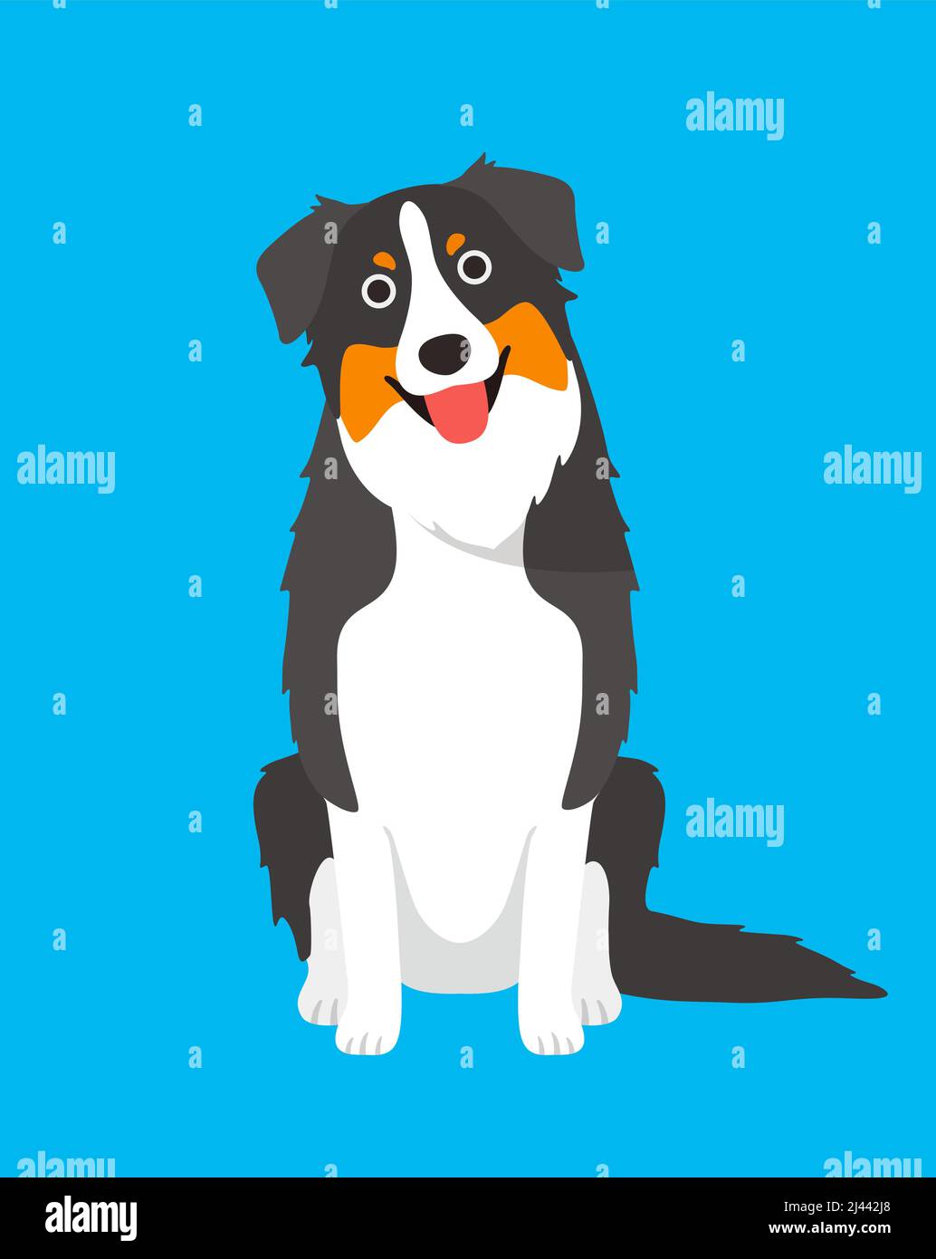 Il cane Pastore australiano è seduto in attesa dell'ordine del padrone Illustrazione Vettoriale