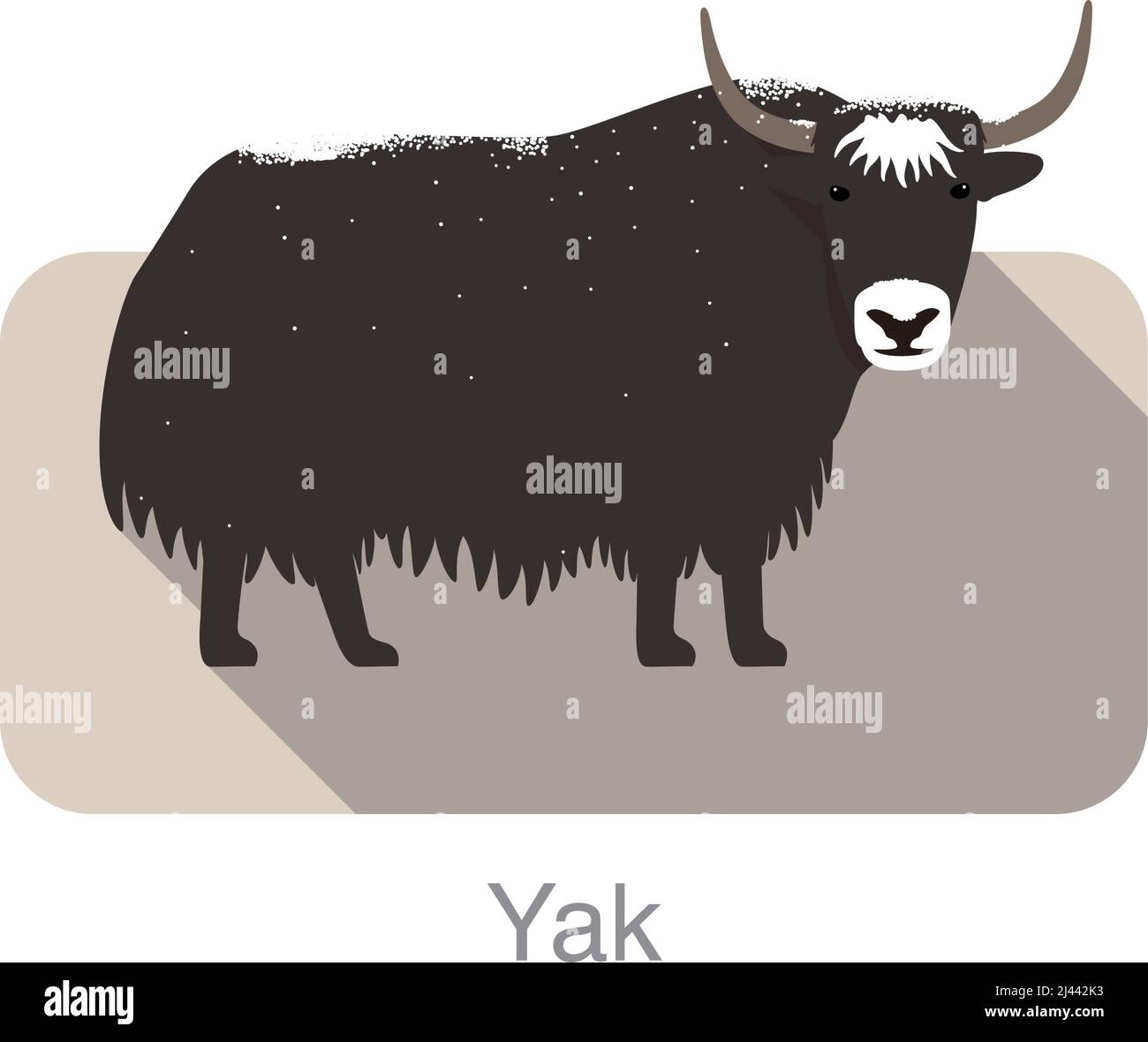Yak in piedi a terra, e un po' di neve sul suo corpo Illustrazione Vettoriale