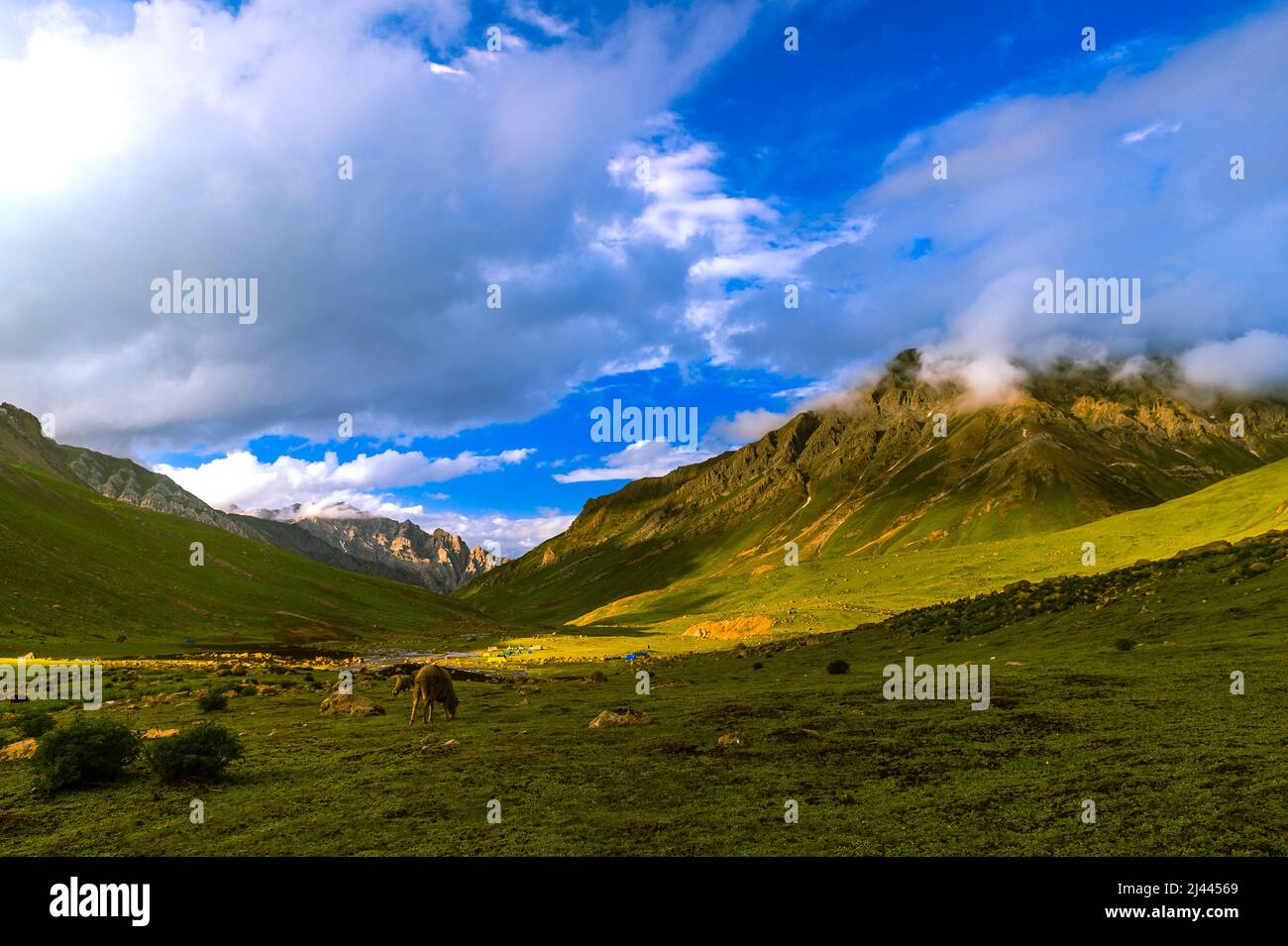 Paesaggio con montagne, nuvole e cielo blu. Bei prati sulla strada da Kashmir Great Lakes Trek, Jammu e Kashmir, India. Foto Stock