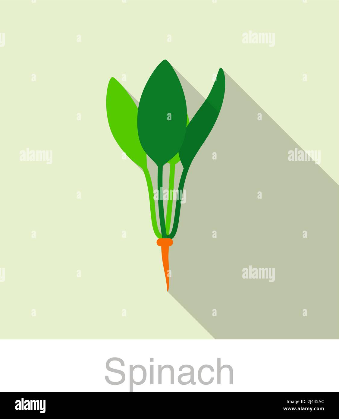 Gli spinaci verdure cibo icona piatta illustrazione vettoriale Illustrazione Vettoriale