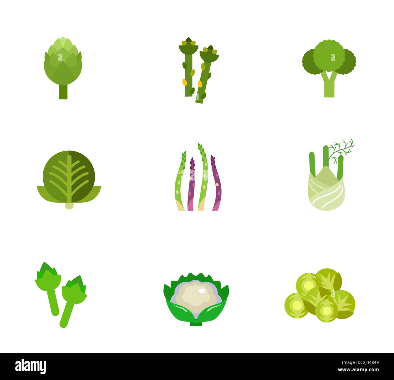Set di icone vegetali verdi. Carciofo Asparagus Broccoli cavolo Asparagus stelo finocchio Carciofo Cauliflower Brussel germoglio Illustrazione Vettoriale