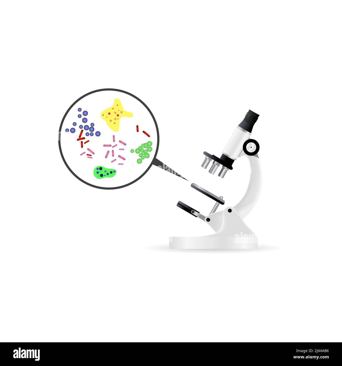 Immagine realistica di batteri al microscopio. Esplorazione, microbiologia, virus. Concetto di ricerca. Può essere utilizzato per argomenti come la scienza, la medicina, il biolo Illustrazione Vettoriale
