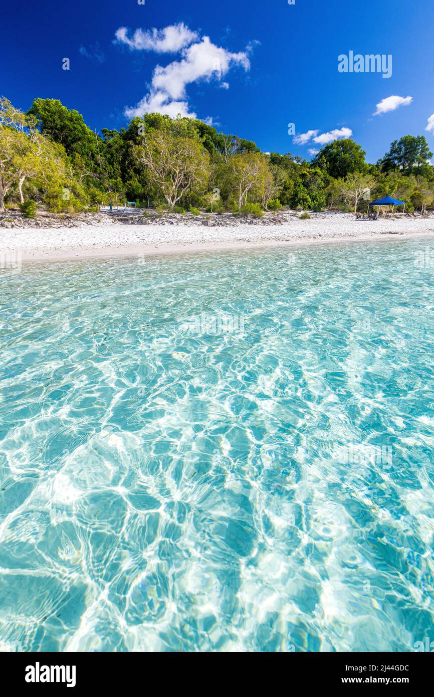 L'incredibile acqua cristallina del lago McKenzie sulla Fraser Island nel Queensland, Australia Foto Stock