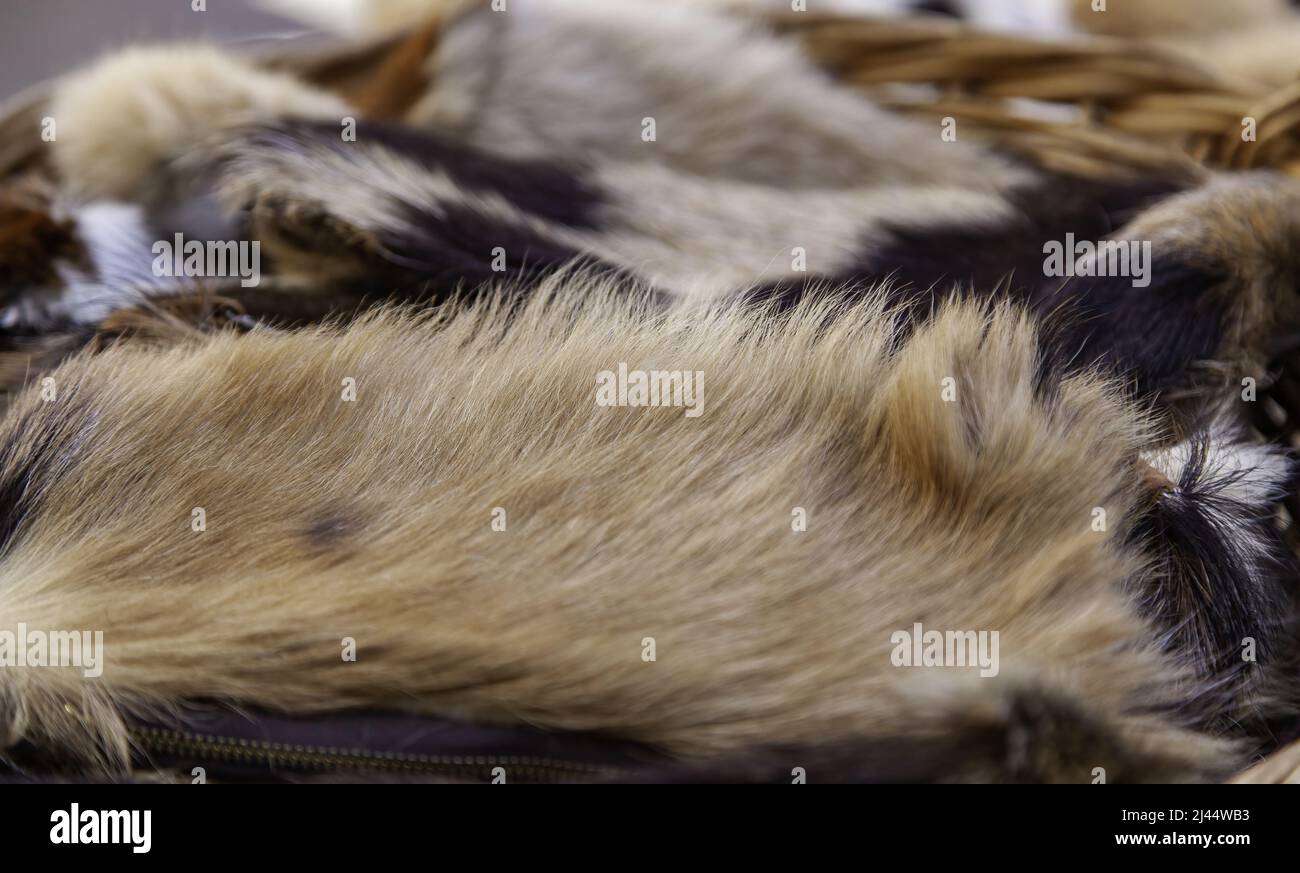 Particolare di pelle di animali essiccata in vendita, abbigliamento di animali Foto Stock