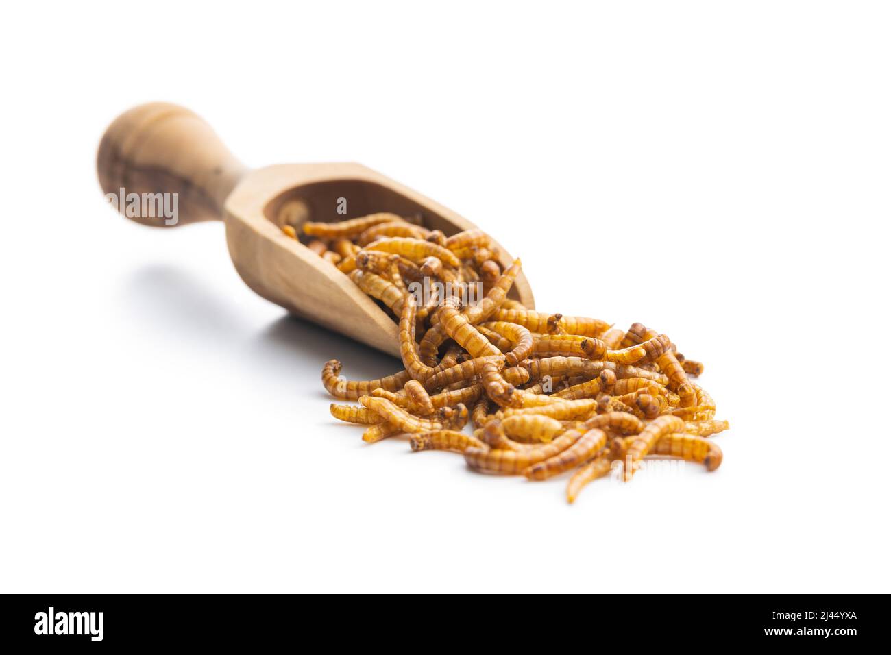 Vermi salati fritti in paletta di legno. Vermi arrosto isolati su sfondo bianco. Foto Stock