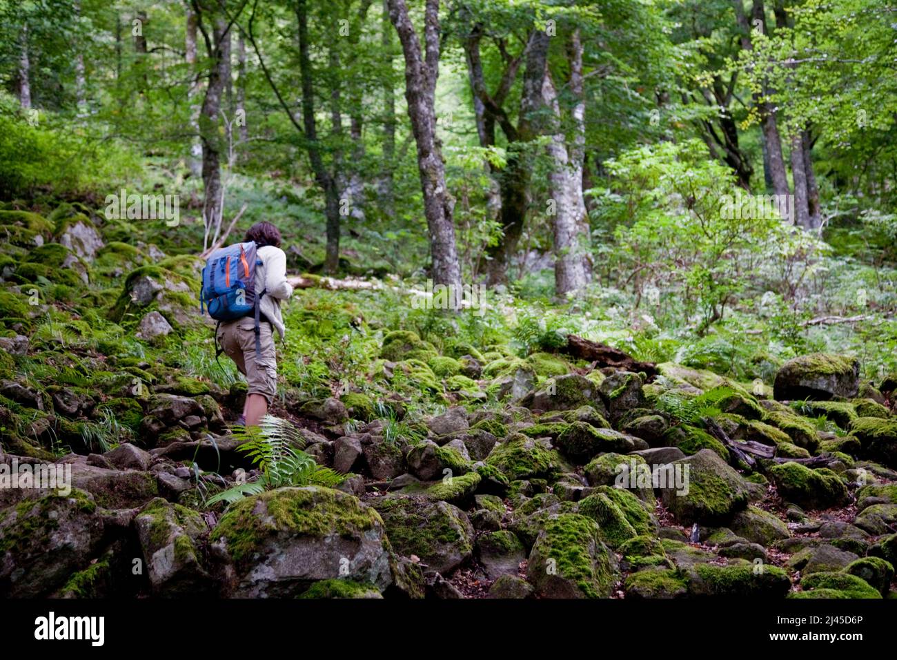 Donna, escursionista nella Valle Chaudefour (Francia centro-meridionale) Foto Stock