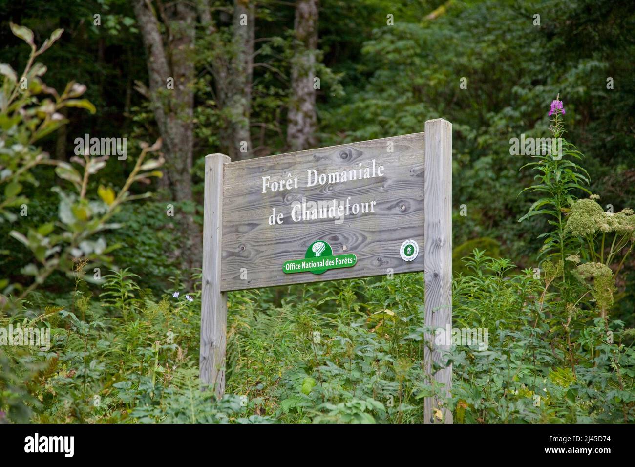 Valle di Chaudefour (Francia centro-meridionale): Segno ÒPublic foresta di ChaudefourÓ Foto Stock