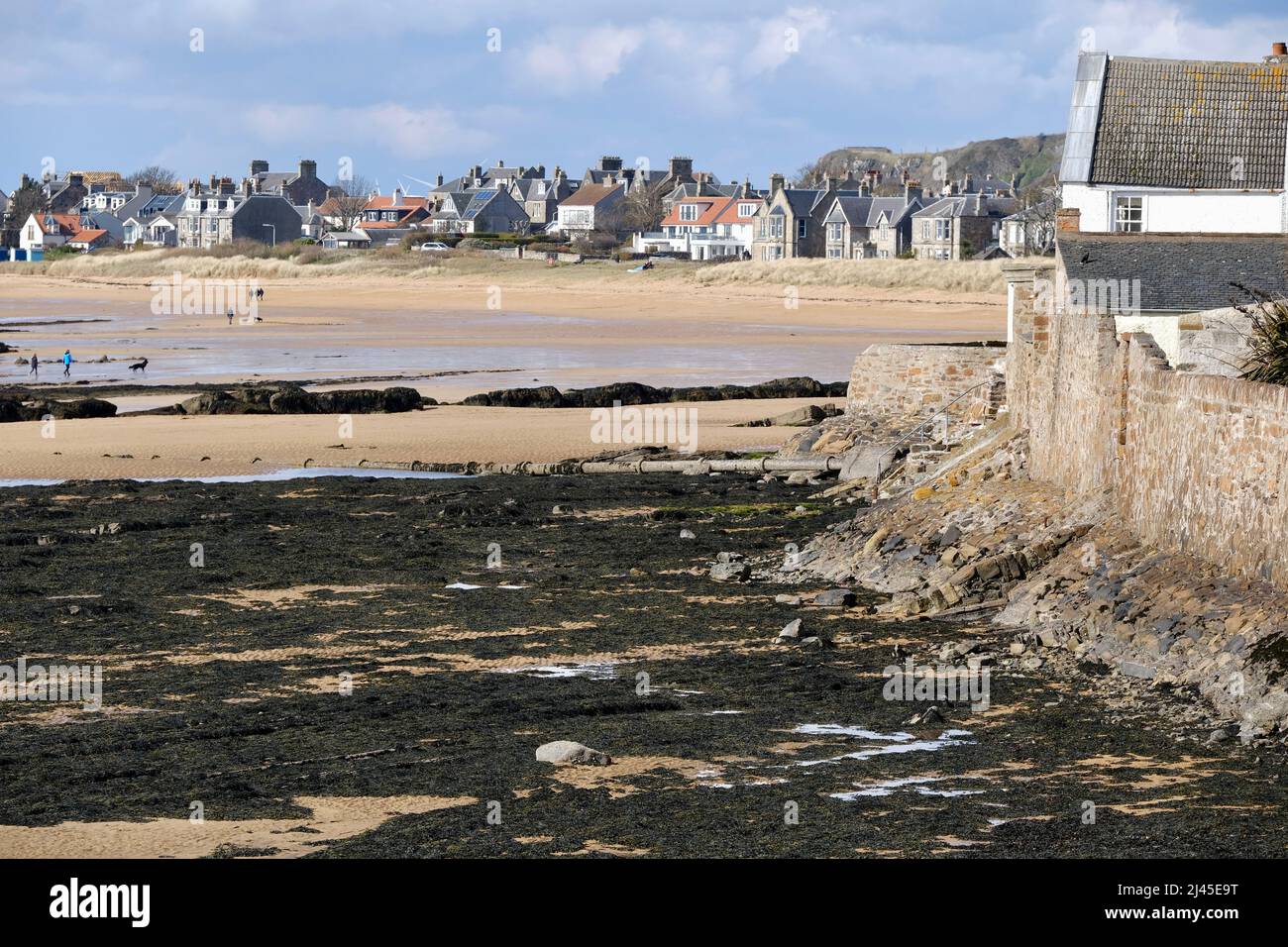 Elie Fife Scozia un villaggio turistico costiero, la marea è fuori e la gente del posto e turisti godere di una passeggiata sulla spiaggia. Cielo blu nei primi giorni di primavera. Foto Stock