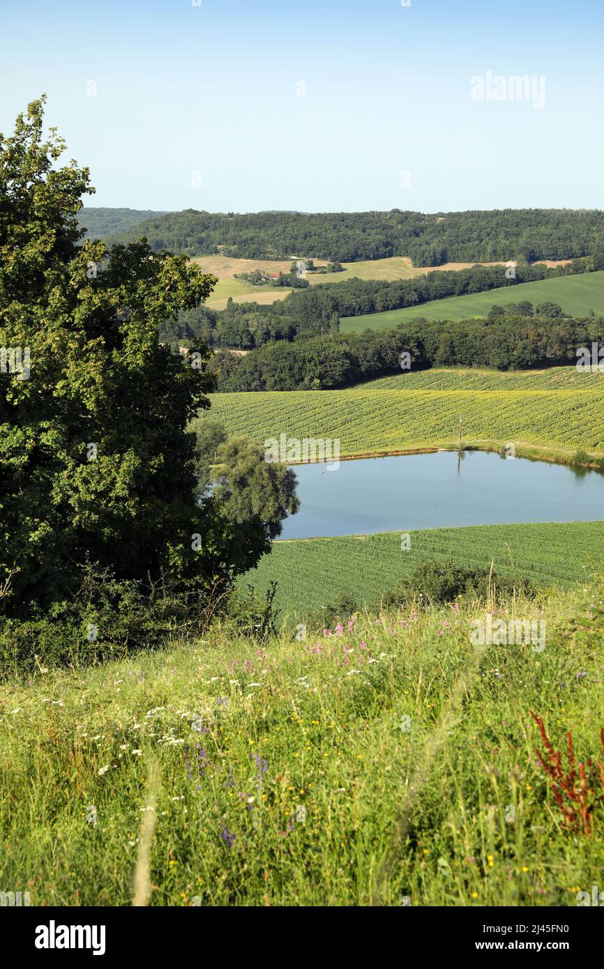 Paesaggio rurale del Pays de Serre (Francia sud-occidentale): Serbatoio di irrigazione Foto Stock