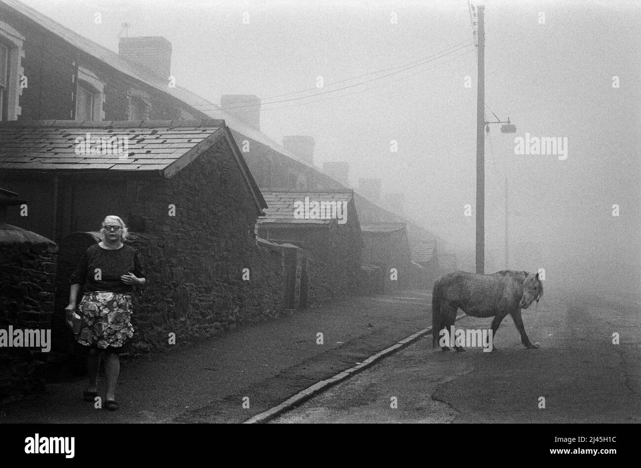 Un giorno di nebbia a Troedrhiwfuwch, Galles del Sud, 1973 Foto Stock