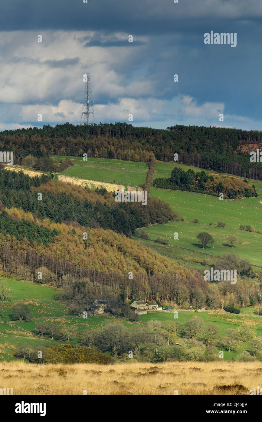 Paesaggio rurale panoramico e soleggiato (pendii boschivi, pascoli e pascoli, tv e radio relè albero, cielo nuvoloso) - Washburn Valley, Yorkshire, Inghilterra, Regno Unito. Foto Stock