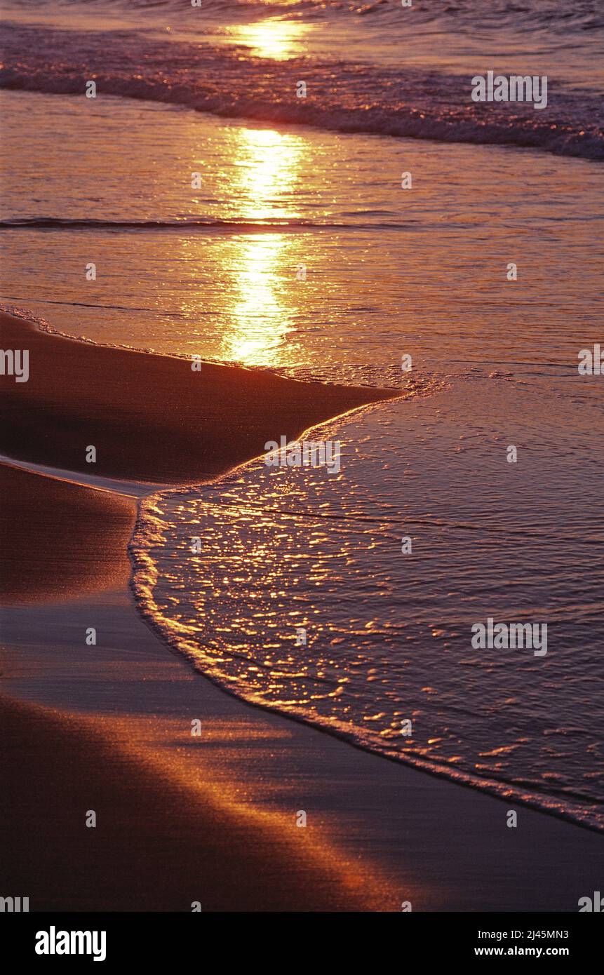 Australia. Queensland. Spiaggia di sabbia e mare vicino all'alba. Foto Stock