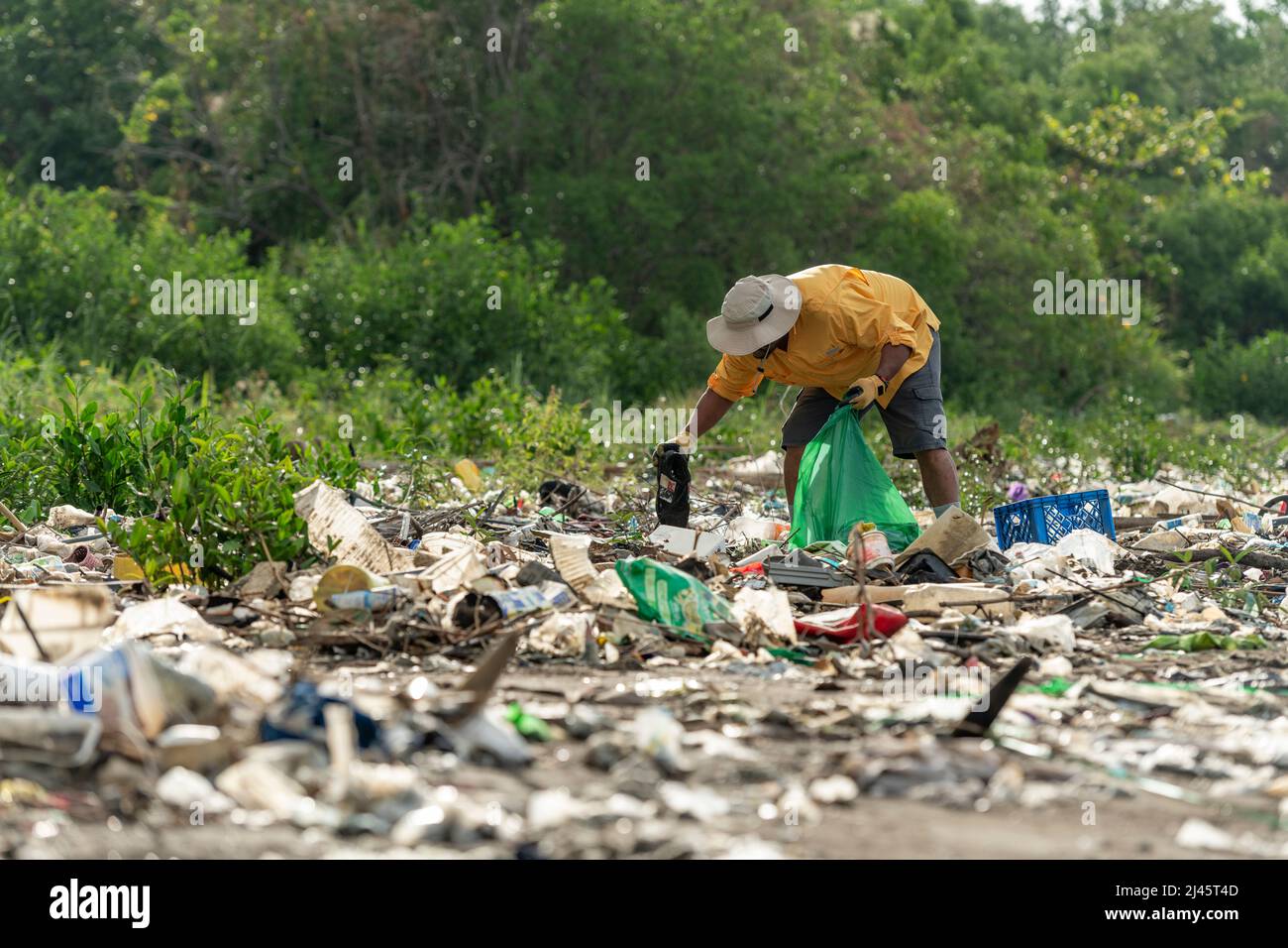L'uomo raccoglie i rifiuti di plastica sulla spiaggia al mattino, Panama, America Centrale. Foto Stock