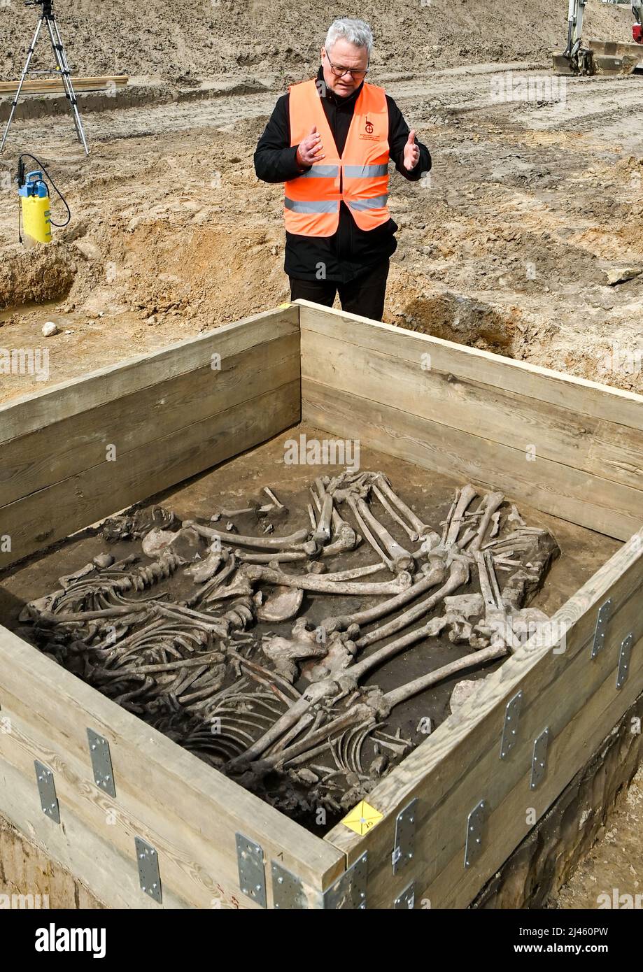 Wustermark, Germania. 12th Apr 2022. Franz Schopper, direttore e archeologo statale di Brandeburgo, si trova in un luogo di sepoltura multipla con scheletri di 4000 anni scavati nei pressi di Wustermark. Questi sono cinque adulti e un bambino che sono stati sepolti insieme. In precedenza erano uccisi. I reperti risalgono alla transizione dell'età della pietra all'età del bronzo. Credit: Jens Kalaene/dpa/ZB/dpa/Alamy Live News Foto Stock