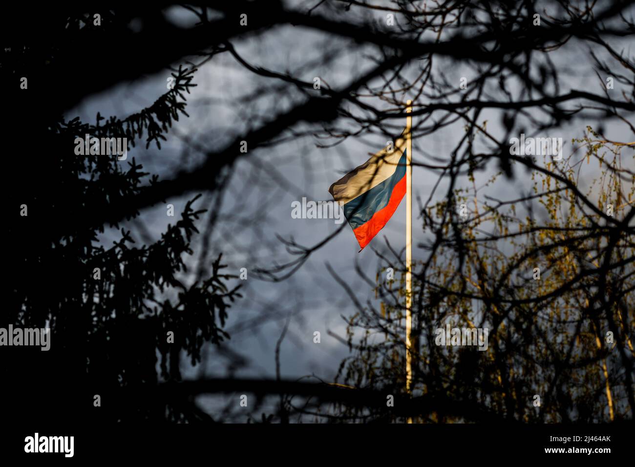 Bandiera russa su un palo che ondola nel vento, vista attraverso molti rami di albero, con minacciose nuvole piovose sullo sfondo. Foto Stock