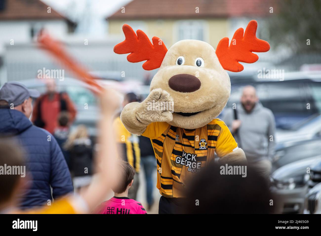 Squadra di calcio inglese Cambridge United mascotte Marvin the Moose Foto Stock