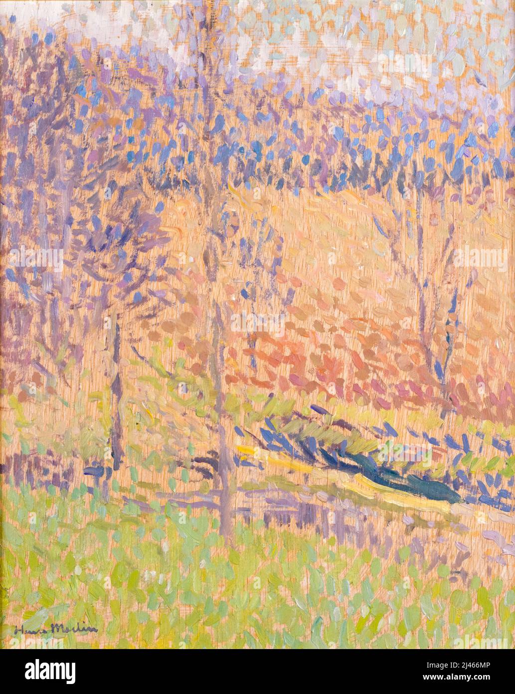 Henri Martin, dans le Brouillard (nella nebbia), pittura in olio su pannello, 1890-1910 Foto Stock