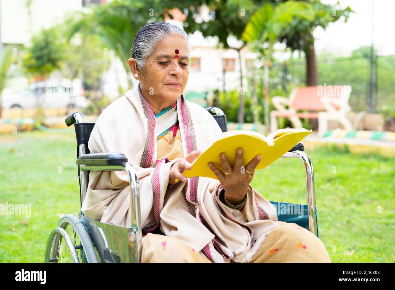 Donna anziana disabili libro lettura mentre seduto su sedia a rotelle al parco - concetto di relax, rinfresco e saggezza. Foto Stock