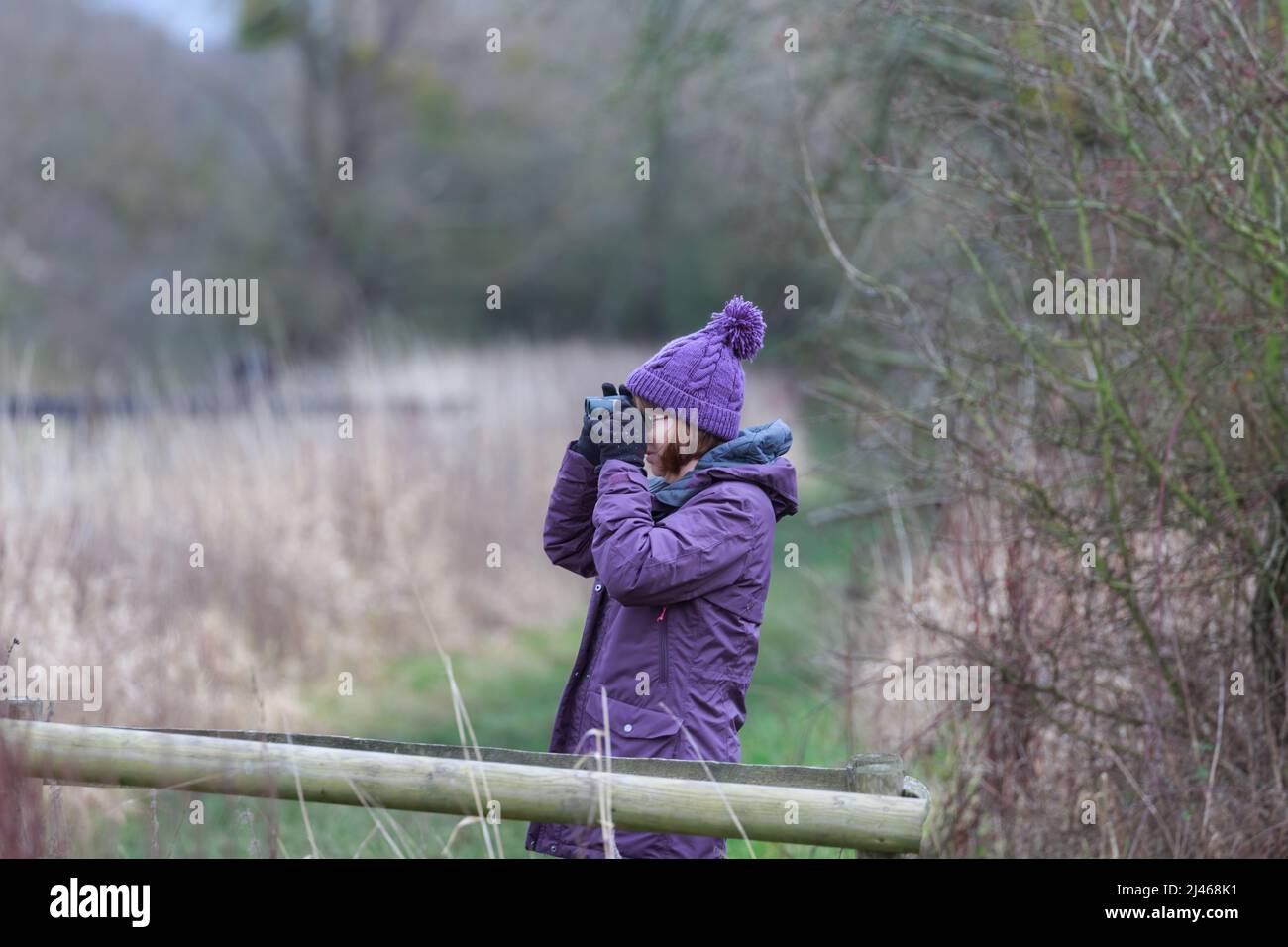 Una donna adulta singola con binocolo in cerca di uccelli e fauna selvatica Foto Stock