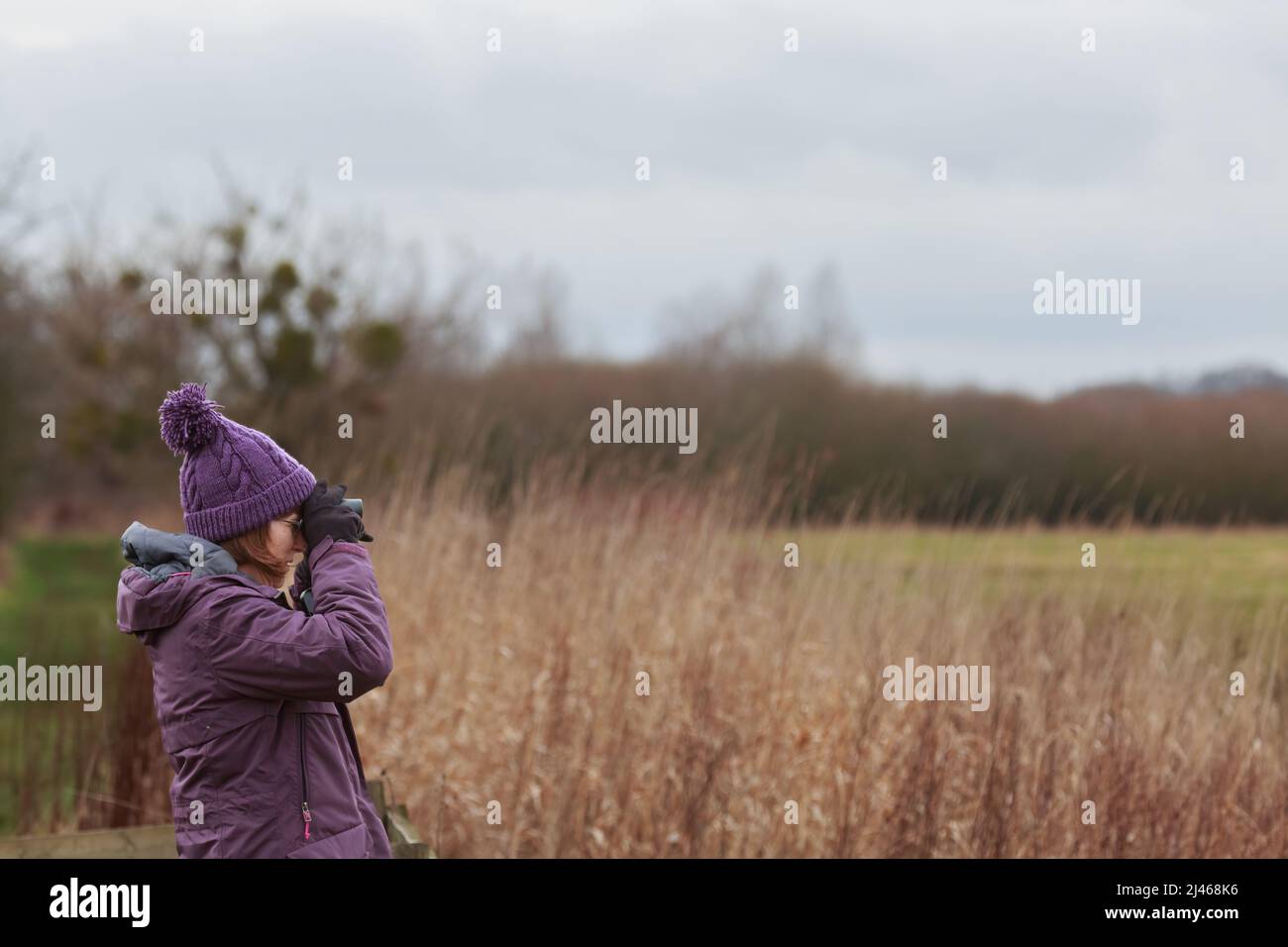 Una donna adulta singola con binocolo in cerca di uccelli e fauna selvatica Foto Stock