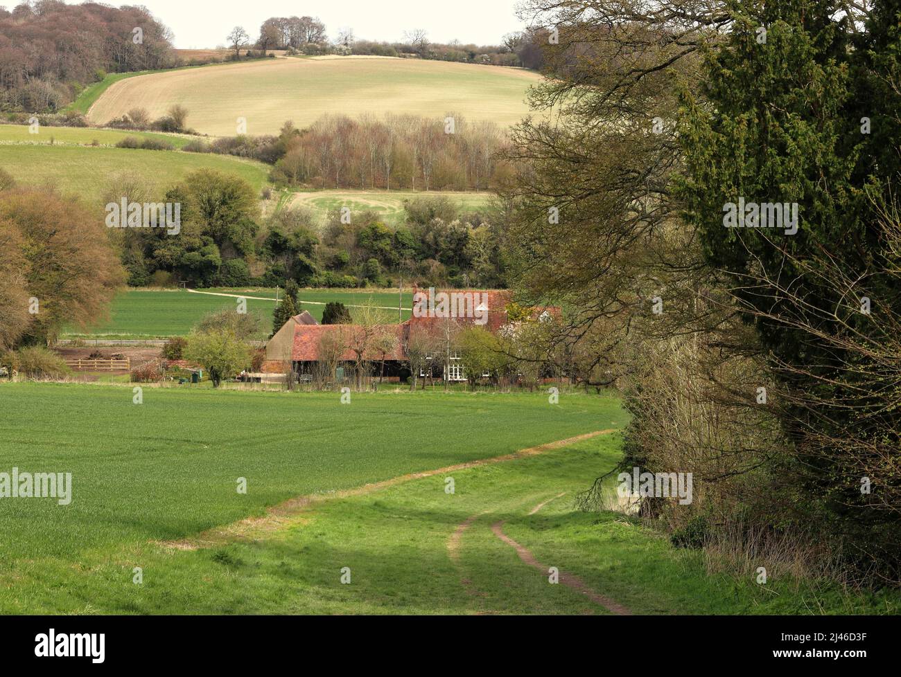 Un paesaggio rurale inglese con sentiero tra campi nella collina Chiltern nel Buckinghamshire Foto Stock