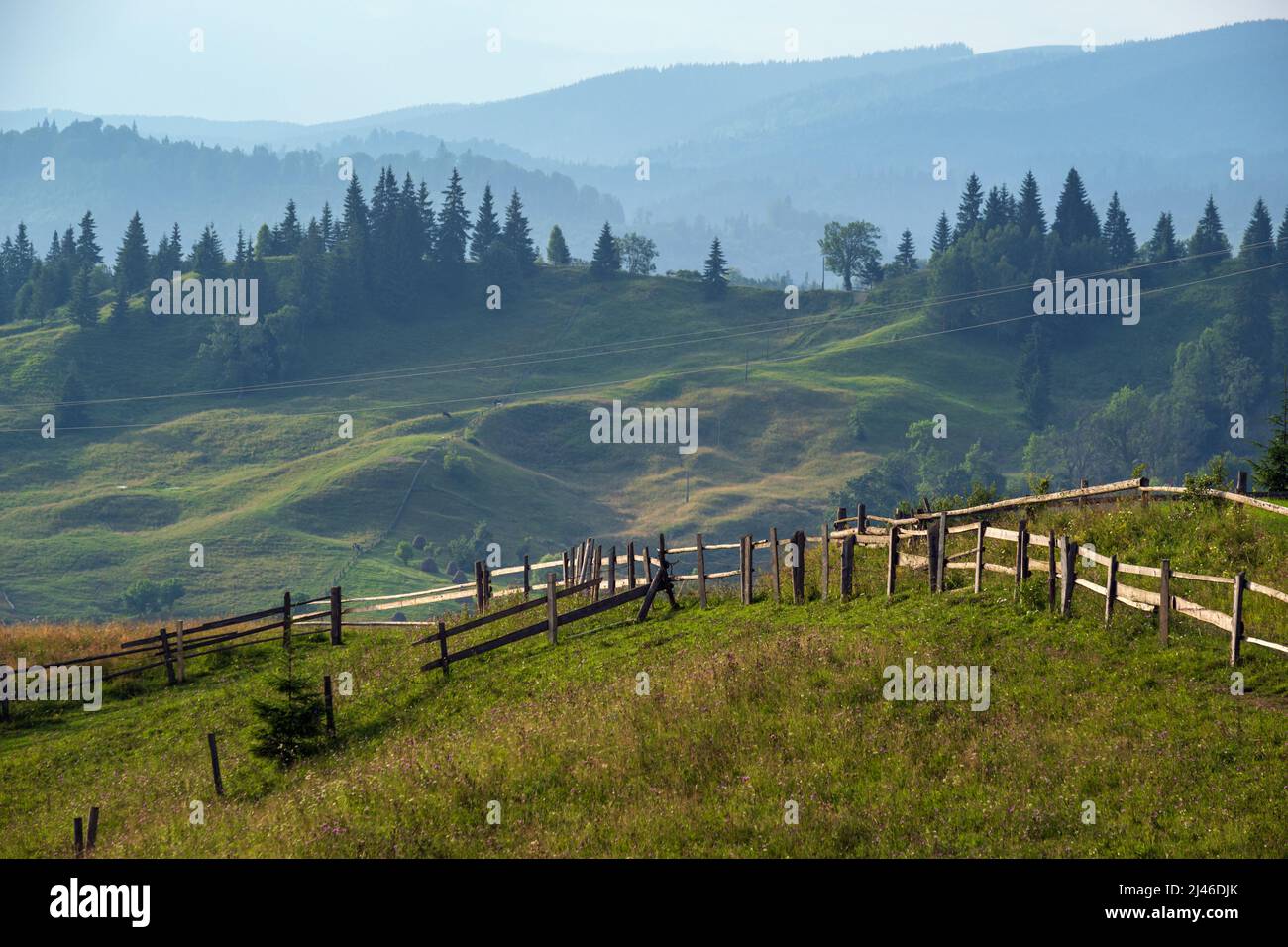 Pittoresca estate Carpazi montagna vista campagna, Ucraina Foto Stock