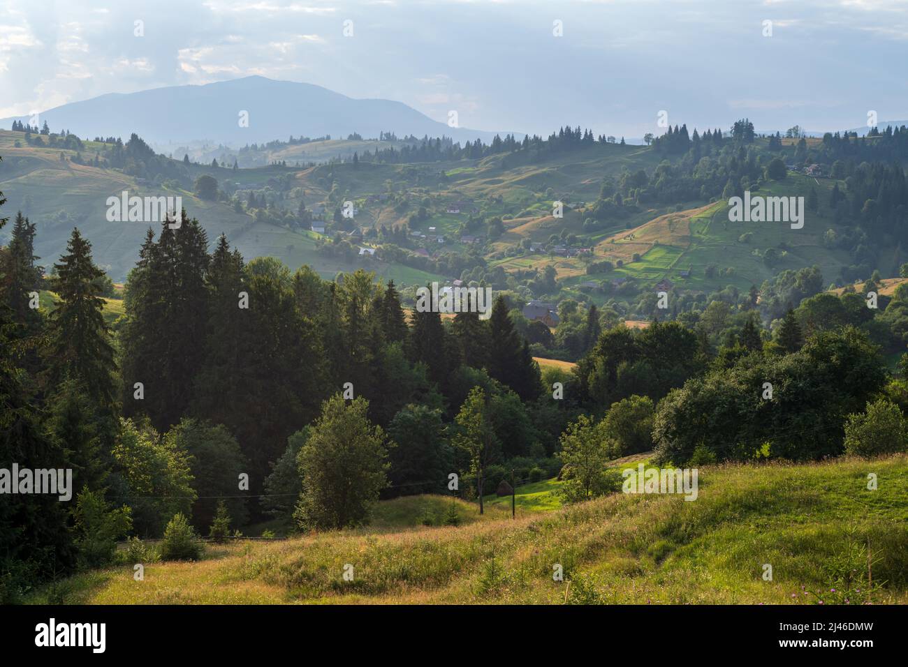 Pittoresca estate Carpazi montagna vista campagna, Ucraina Foto Stock
