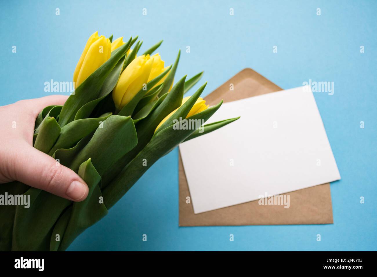 La mano contiene un bouquet di tulipani gialli. Lettera vuota per il testo su sfondo blu. Regali e saluti. Foto Stock