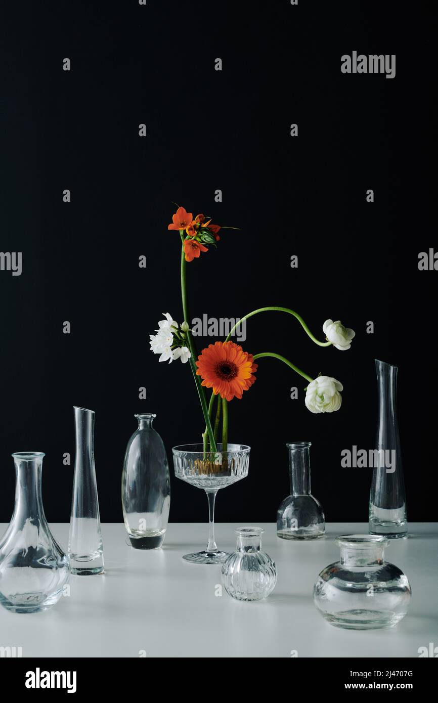 Verticale contemporanea composizione di fiori colorati e vari vasi di vetro trasparente su superficie grigia del tavolo contro sfondo nero parete Foto Stock