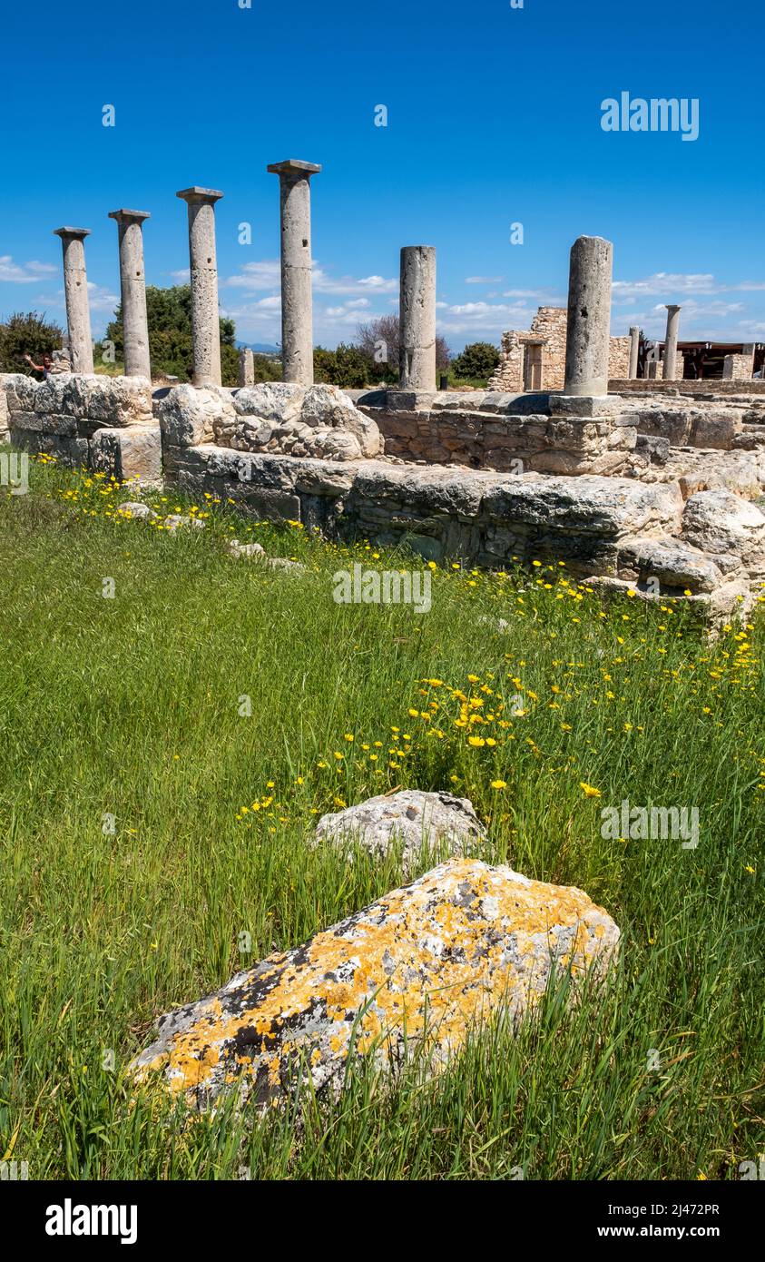 Colonne intorno ai dormitori del Santuario di Apollo Hylates sito romano, Episkopi, Repubblica di Cipro. Foto Stock