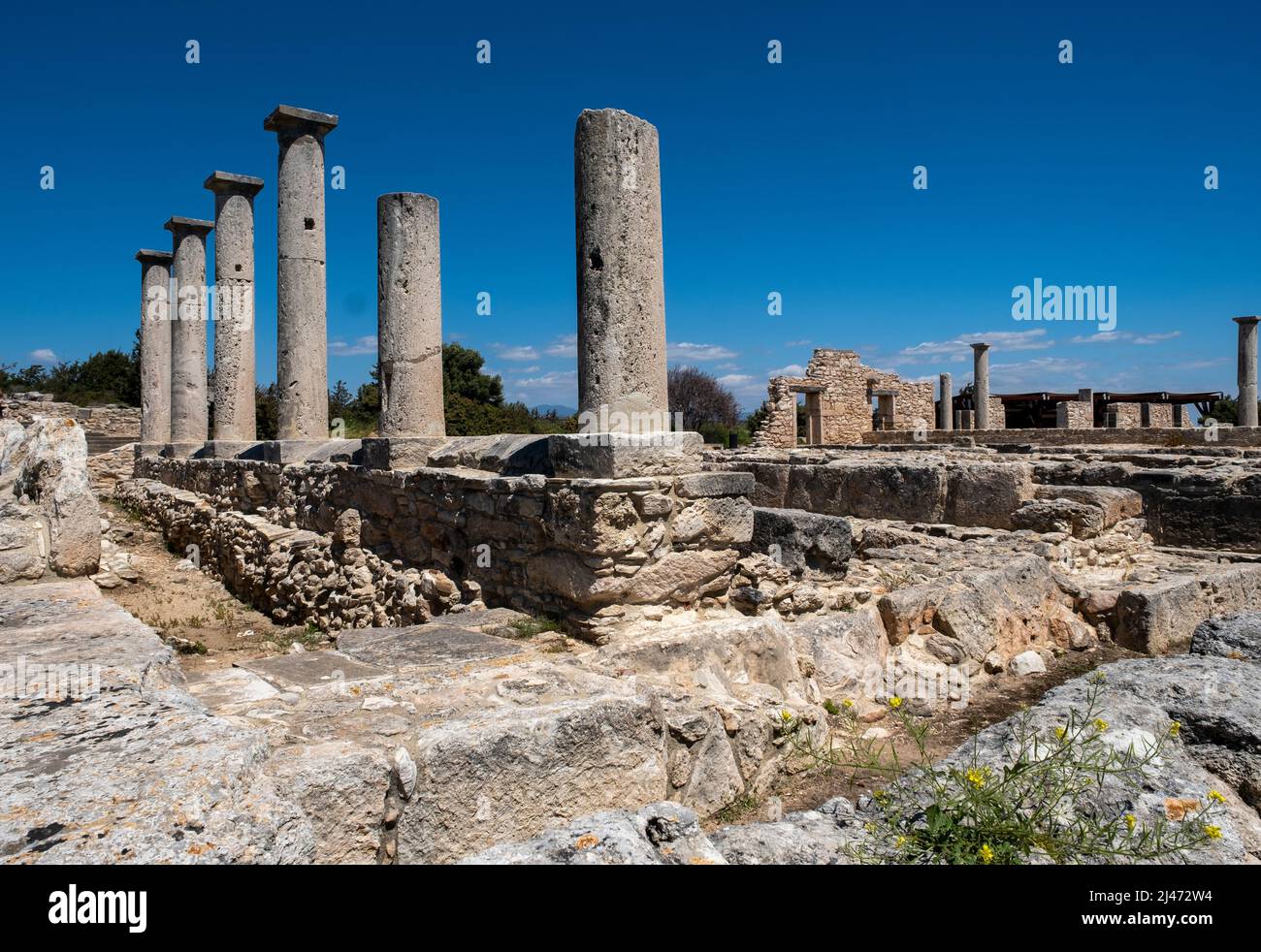 Colonne intorno ai dormitori del Santuario di Apollo Hylates sito romano, Episkopi, Repubblica di Cipro. Foto Stock