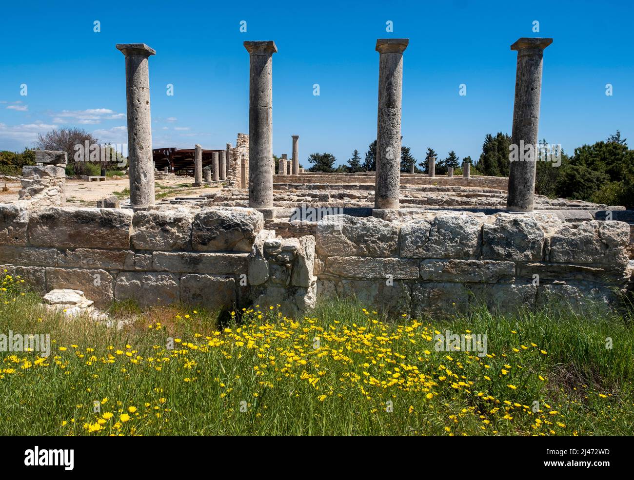 Colonne intorno ai dormitori del Santuario di Apollo Hylates sito romano, Episkopi, Repubblica di Cipro. Foto Stock